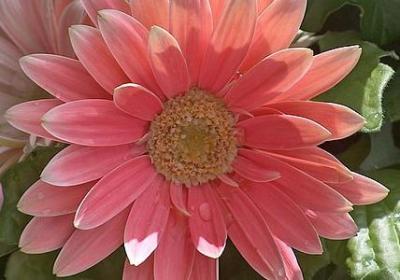 规则的名言警句(通用80句) 规则的名言警句(通用80句)