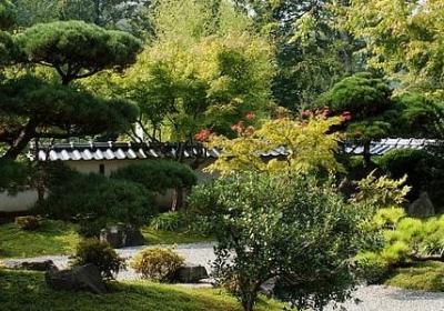 读书的名言作文(优选54句) 读书的名言作文(优选54句)