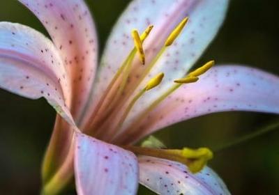 认真做事的名言(必备70句) 认真做事的名言(必备70句)