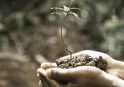 观音菩萨名言(优选80句) 观音菩萨名言(优选80句)