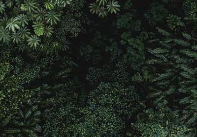 鞠婧祎励志语录(汇总50句)