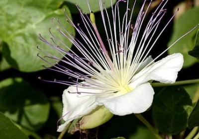 自我勉励的名言(必备70句)