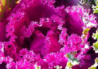 童年的名人名言(实用20句)