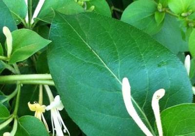 艾弗森的名言(通用10句)