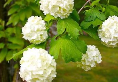 管仲名言名句(70句)