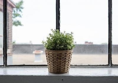 竞争的名言名句(精选80句)