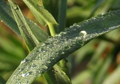 英文的名人名言(共80句)