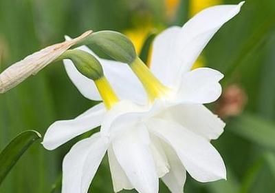 简短的名人名言(精选99句)