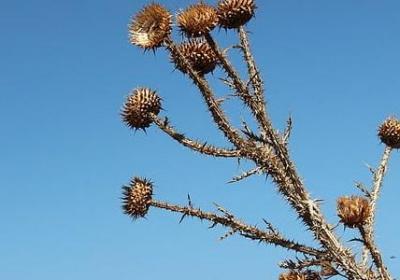 自强不息的名言警句(共70句) 自强不息的名言警句(共70句)