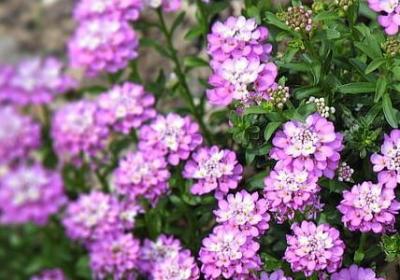 经典哲理名言(实用80句)