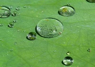 罗曼罗兰的名言(通用70句) 罗曼罗兰的名言(通用70句)