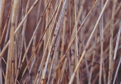 稻盛和夫的名言(合集50句) 稻盛和夫的名言(合集50句)