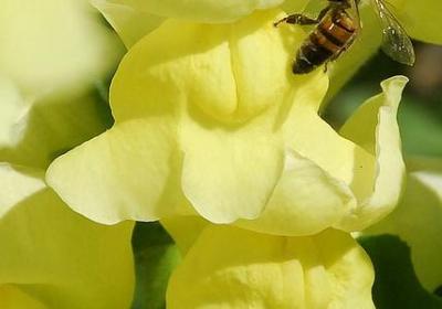 老子名言警句(精选50句) 老子名言警句(精选50句)