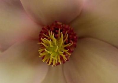 经典名言警句励志(推荐20句) 经典名言警句励志(推荐20句)