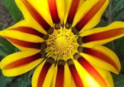 立志的名言名句(汇总50句) 立志的名言名句(汇总50句)