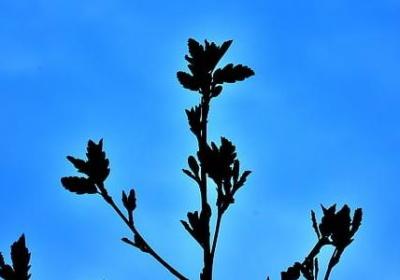 诚实守信名言警句(通用70句) 诚实守信名言警句(通用70句)