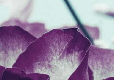 逆境名人名言(20句)