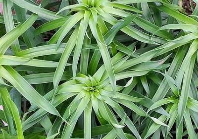 适应环境的名言(实用40句) 适应环境的名言(实用40句)