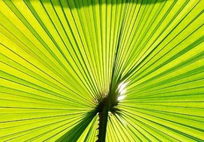 表示读书的名言(汇总40句) 表示读书的名言(汇总40句)