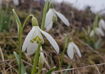 道德修养的名言(通用20句) 道德修养的名言(通用20句)