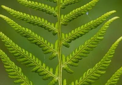 读书读书名言(热门50句) 读书读书名言(热门50句)