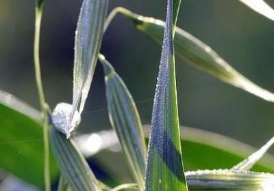 赞美老师的名言或诗句(80句) 赞美老师的名言或诗句(80句)