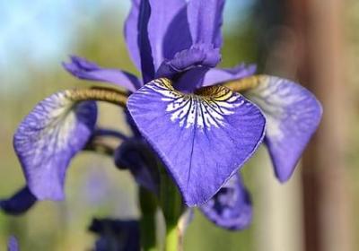 读书有益的名言(必备81句) 读书有益的名言(必备81句)