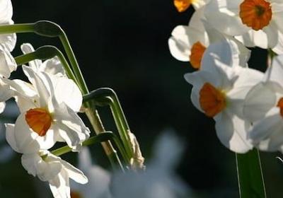 谦虚和骄傲的名言(合集22句) 谦虚和骄傲的名言(合集22句)