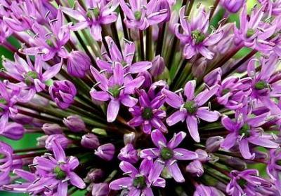 赞美医生的名言(合集70句) 赞美医生的名言(合集70句)