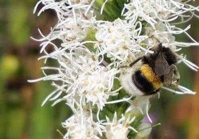 认清自我的名言(50句) 认清自我的名言(50句)