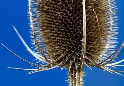 道德名言警句(通用159句) 道德名言警句(通用159句)