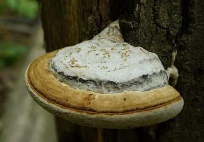 说到做到的名言(热门20句) 说到做到的名言(热门20句)