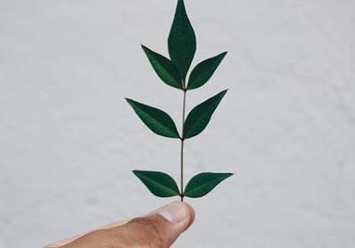 蜗居经典语录(100句)