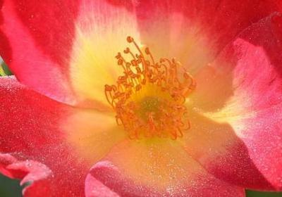 谦虚的名言警句(合集50句)