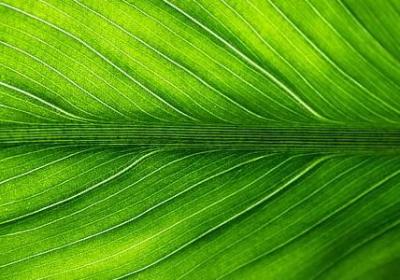茫茫人海中遇见你语录(热门80句)