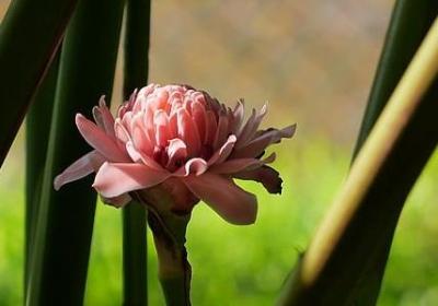 罗曼罗兰名言(必备80句)