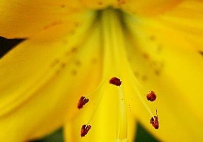 自由的名言名句(推荐96句)