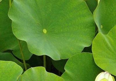 职场励志名言(通用60句) 职场励志名言(通用60句)