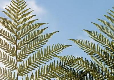 老师名言警句(优选40句) 老师名言警句(优选40句)