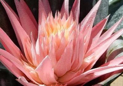 自强不息的名言名句(实用79句) 自强不息的名言名句(实用79句)