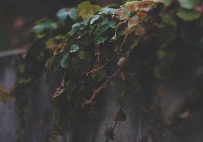 简爱的名言警句(推荐19句) 简爱的名言警句(推荐19句)