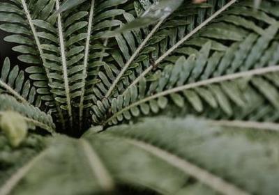 艾斯奥特曼名言(共60句)