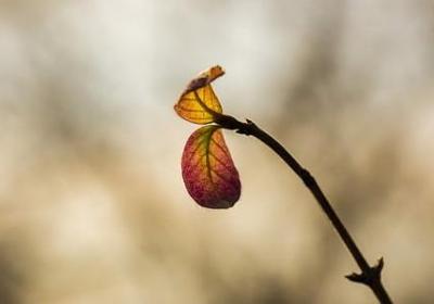 脚踏实地的名言警句(汇总80句) 脚踏实地的名言警句(汇总80句)