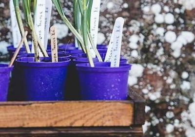 简短的名言名句(通用80句) 简短的名言名句(通用80句)