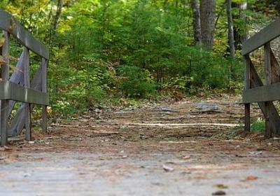 老舍名言名句(实用50句) 老舍名言名句(实用50句)