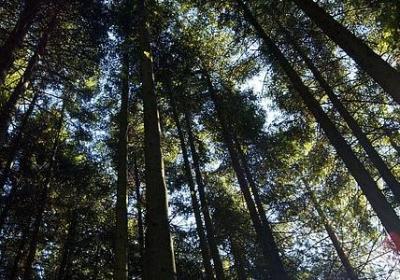 科技名言警句(推荐40句) 科技名言警句(推荐40句)