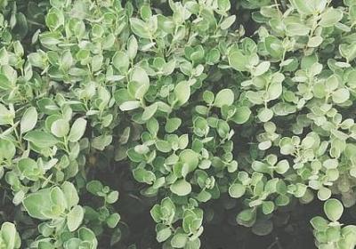 自我评价名言(必备40句) 自我评价名言(必备40句)