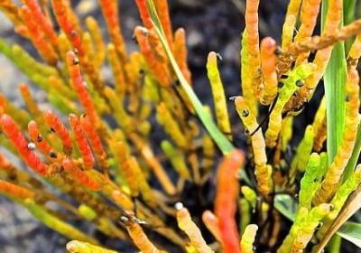 老人与海名言(共58句) 老人与海名言(共58句)