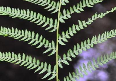 英雄名言名句(通用48句) 英雄名言名句(通用48句)