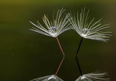 议论文常用名言(推荐80句) 议论文常用名言(推荐80句)